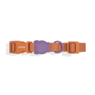 Coleira para Cachorros Neopro Iris P