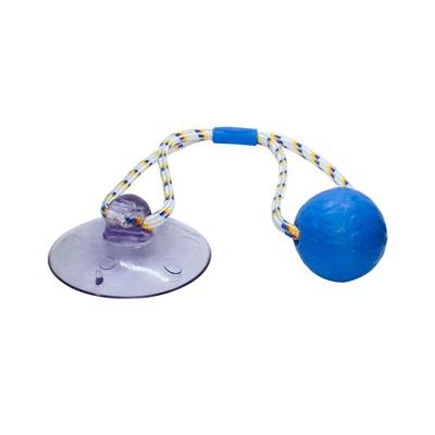 Brinquedo Truqys Push Ball Pet Azul U