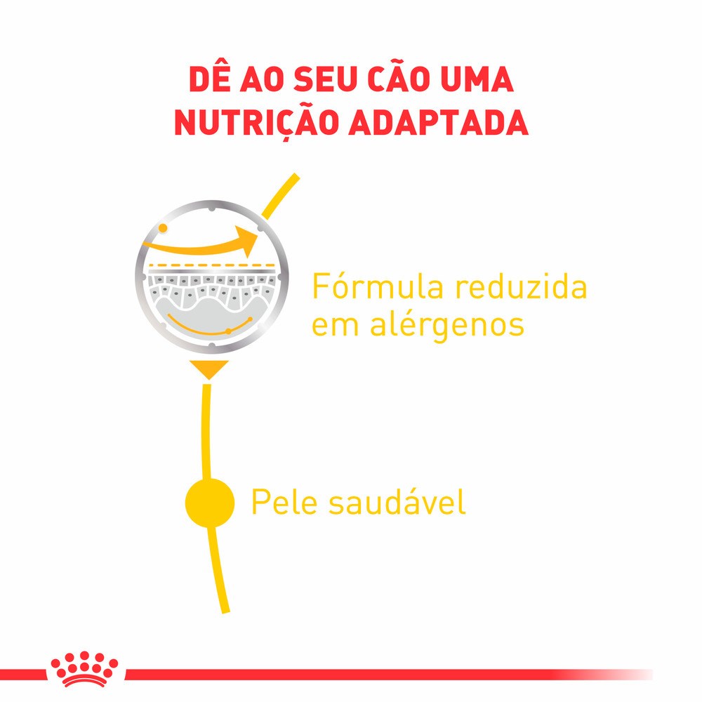 Ração Royal Canin Sachê Dermacomfort para Cães Adultos