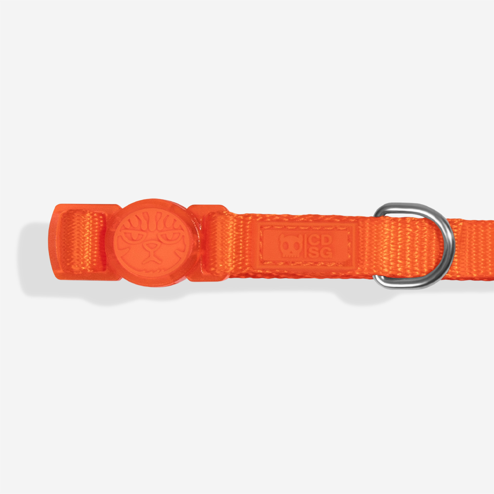 Coleira CDSG x Zee.Dog para Gatos Laranja | Imagem 2