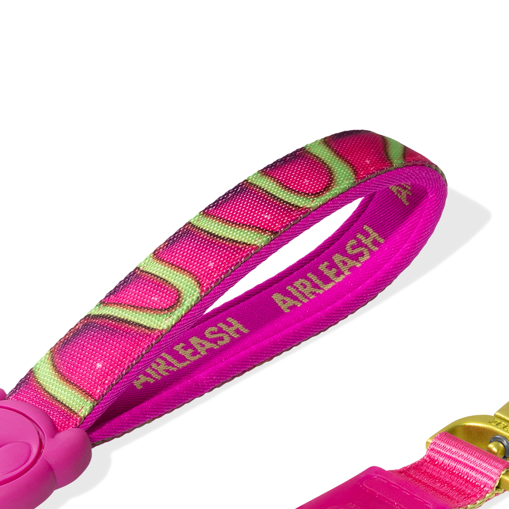 Guia para Cachorros Airleash H3D Jelly 