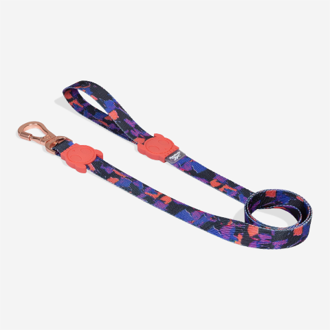 Guia para Cachorros Reebok Court | Zee.Dog