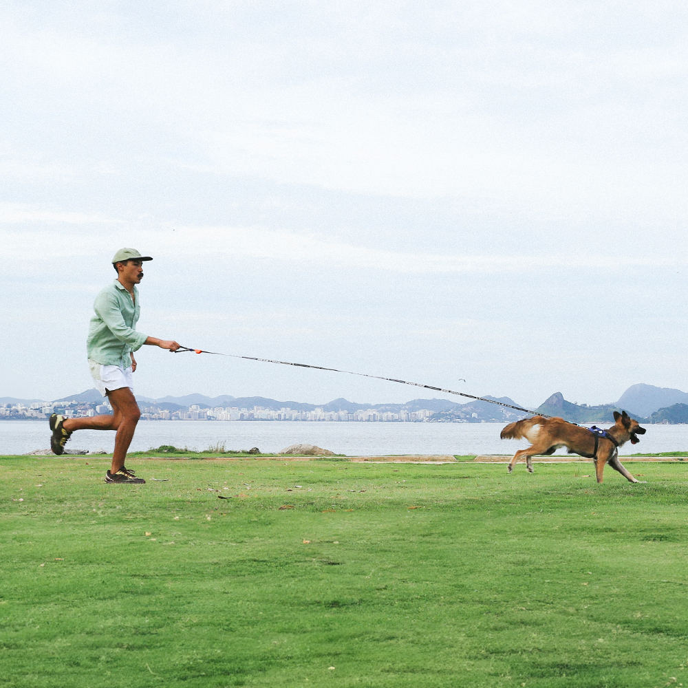 Guia Longa para Cachorros Tres | Imagem 2