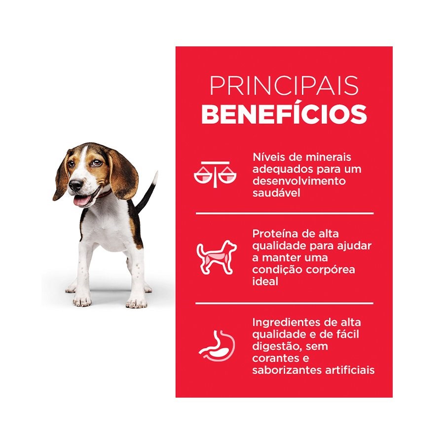 Ração Hill's Science Diet Crescimento Saudável para Cães Filhotes sabor Frango