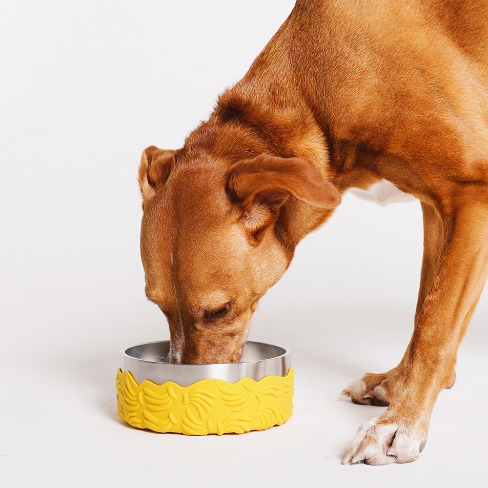 Comedouro para Cachorros Tuff Bowl FARM Rio Bossa Banana | Imagem 2