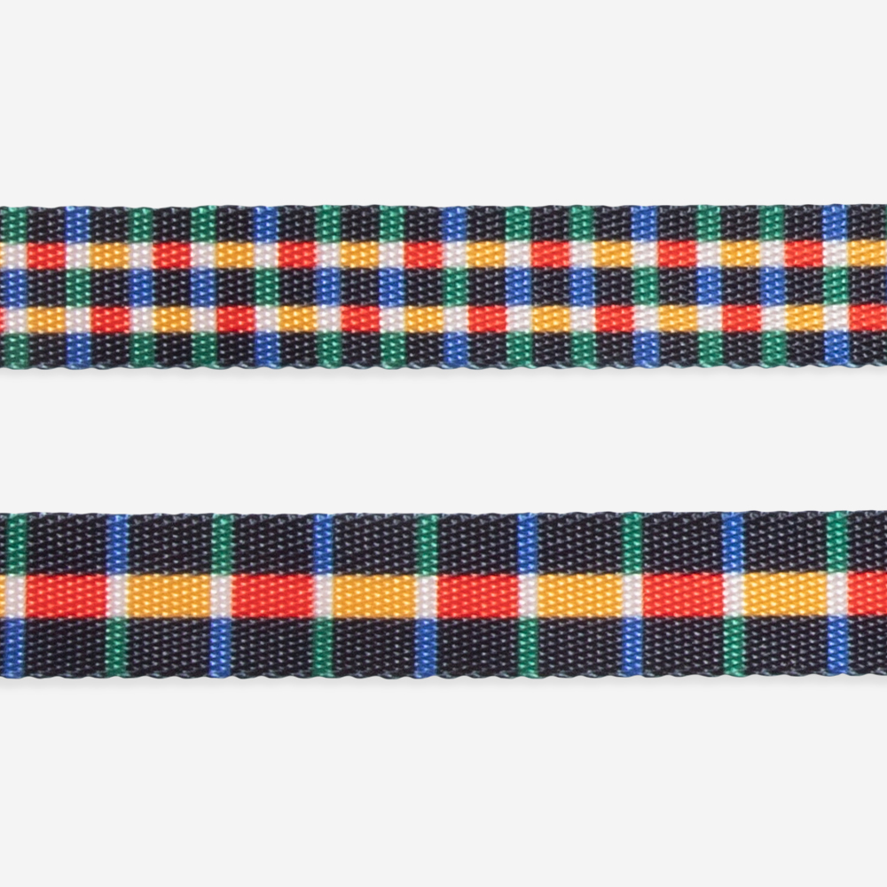 Guia para Cachorros Travis | Imagem 5