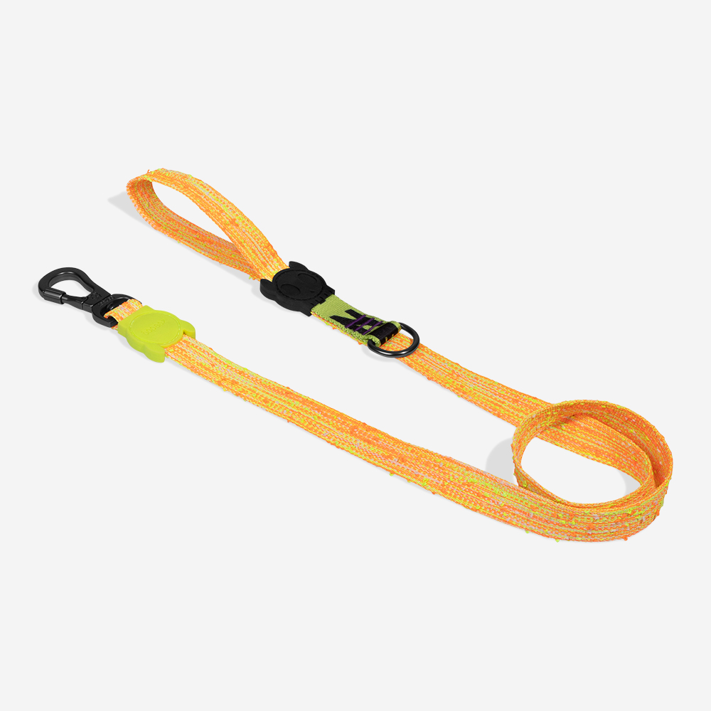 Guia para Cachorros Fuse Bikr | Imagem 2