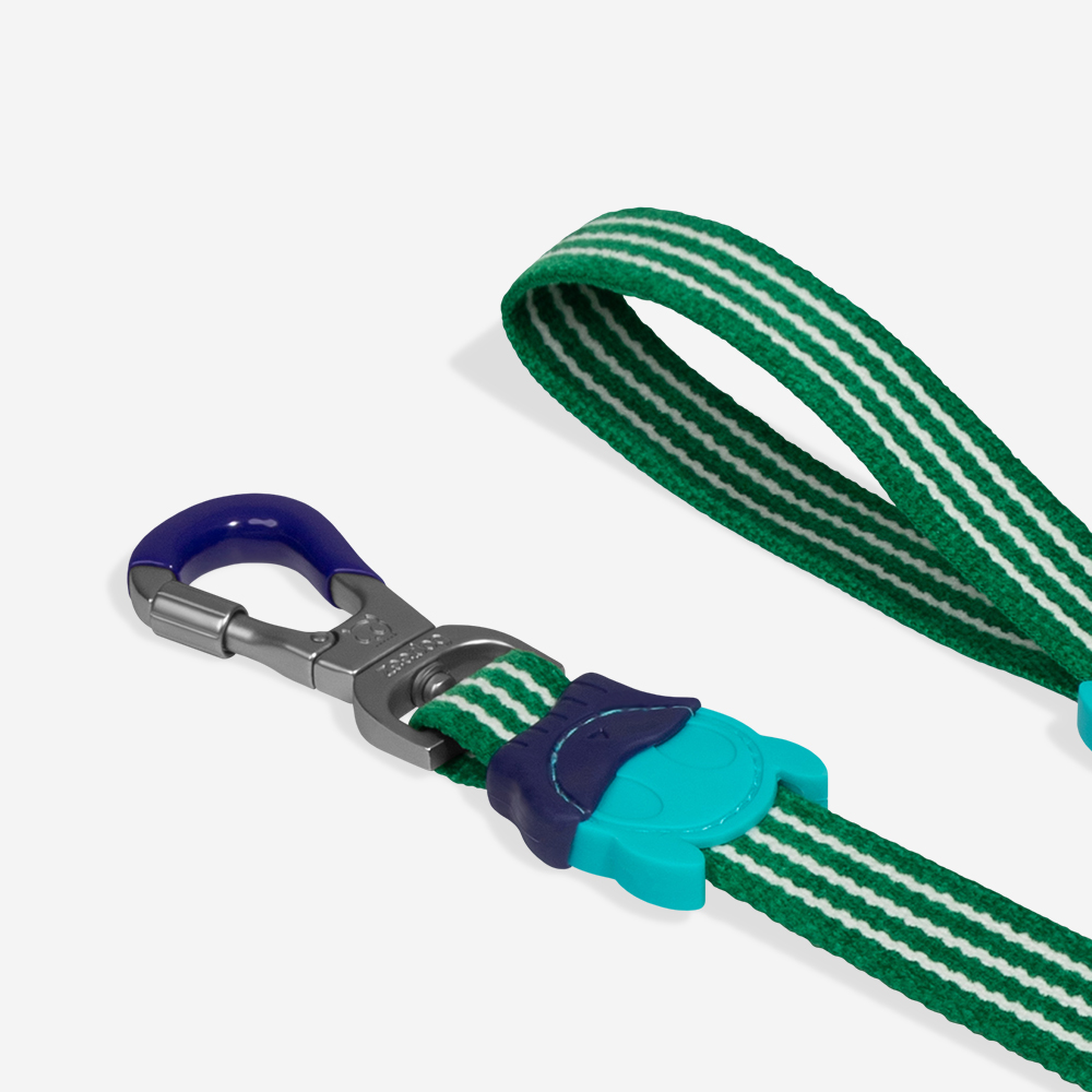 Guia para Cachorros Velvet Vibes Vert | Imagem 3