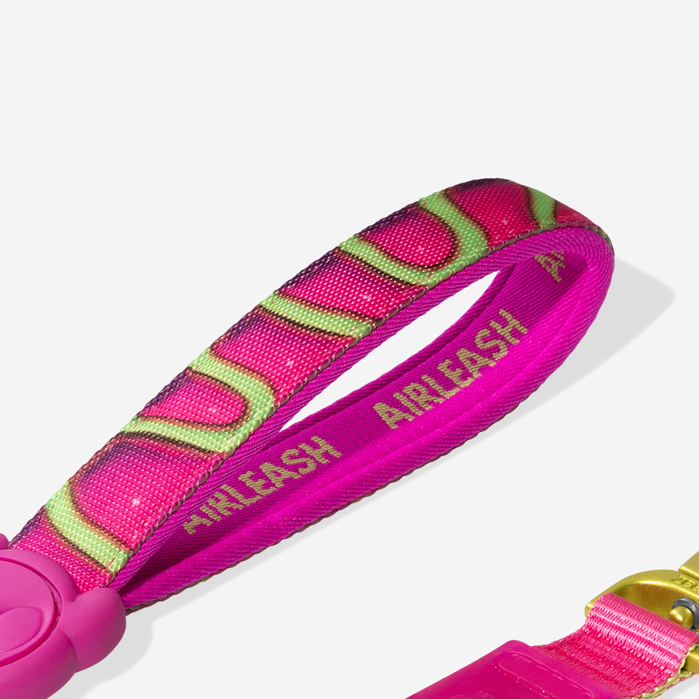 Guia para Cachorros Airleash H3D Jelly  | Imagem 3