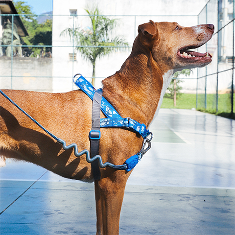 Peitoral Antipuxão SofterWalk para Cachorros H3D Fly | Zee.Dog