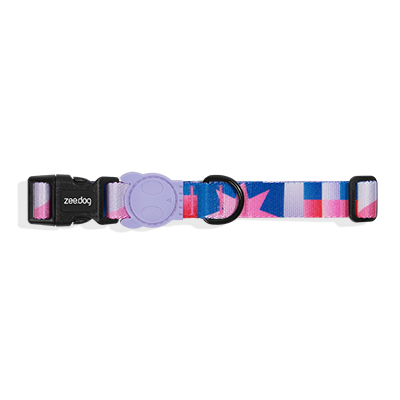 Coleira para Cachorros Noon M