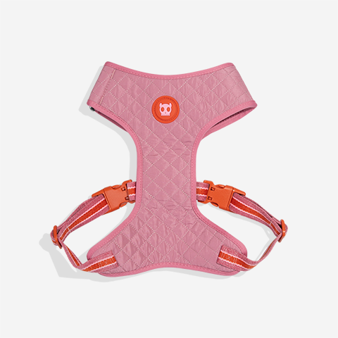 Peitoral para Cachorros Air Mesh Ajustável Velvet Vibes Courtney | Zee.Dog