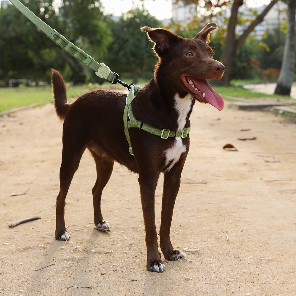 Peitoral Antipuxão SofterWalk para Cachorros Naturals Moss
