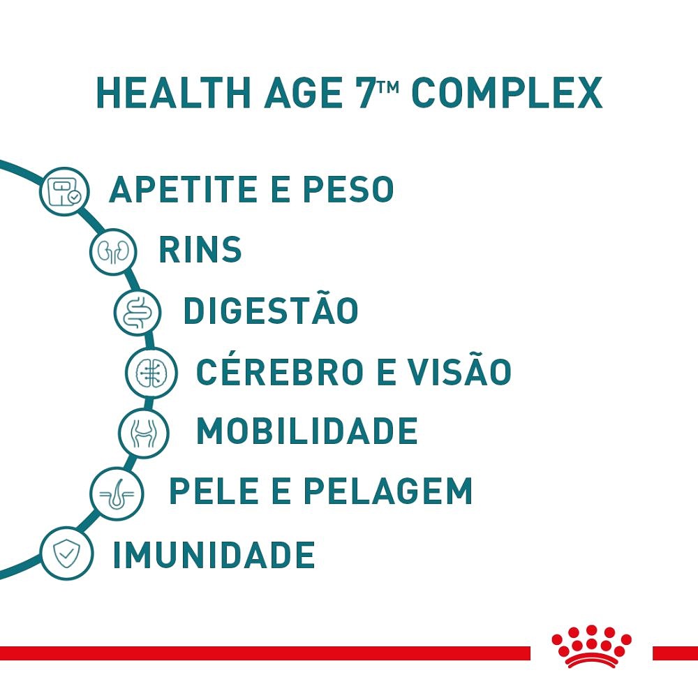 Ração Úmida Royal Canin Ageing 11+ para Gatos Sênior