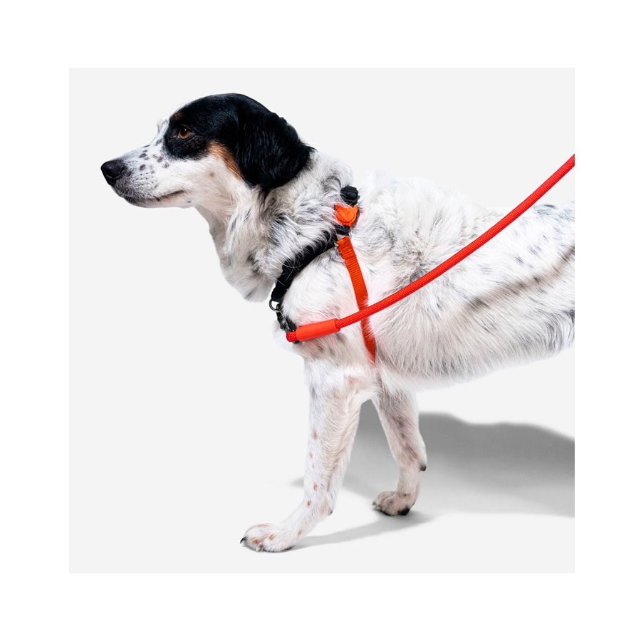 Peitoral para Cachorros Antipuxão FatBoy