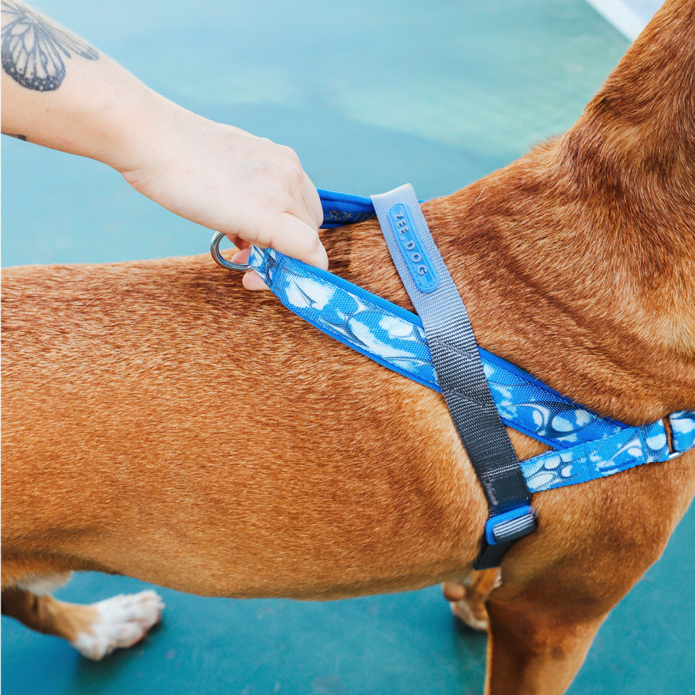 Peitoral Antipuxão SofterWalk para Cachorros H3D Fly