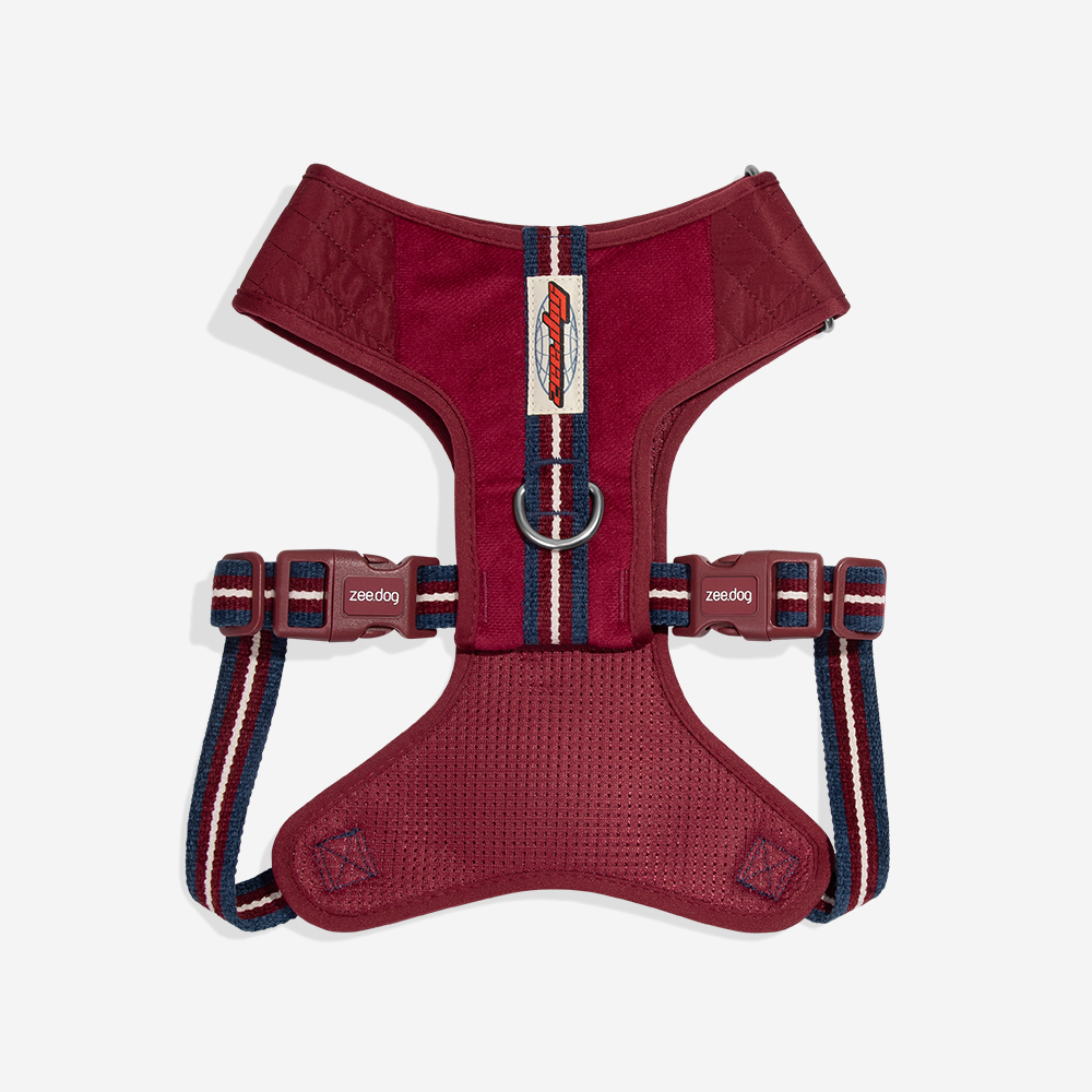 Peitoral para Cachorros Air Mesh Ajustável Velvet Vibes Dropout | Imagem 2