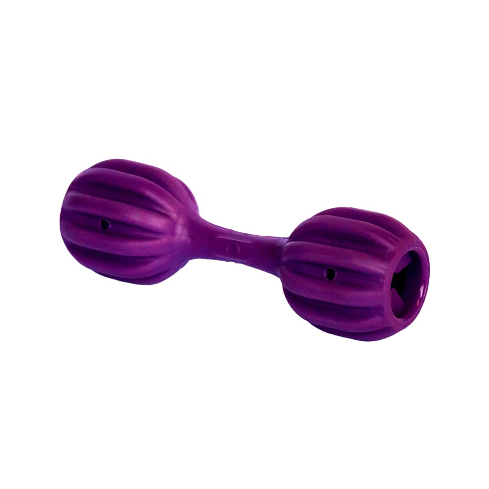 Brinquedo Amicus Fun Toys Pet Fit Roxo para Cães