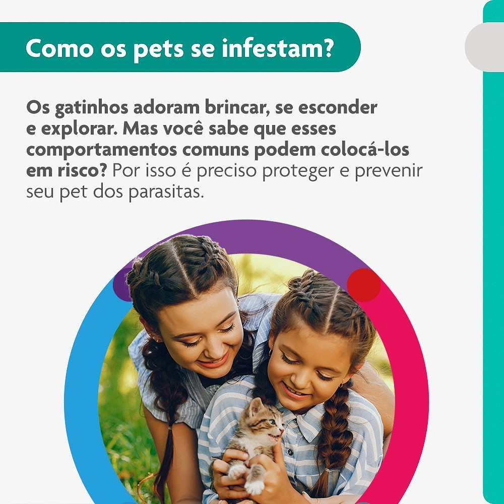 Antipulgas e Carrapatos Bravecto Transdermal para Gatos de 1,2kg a 2,8kg - 112,5mg