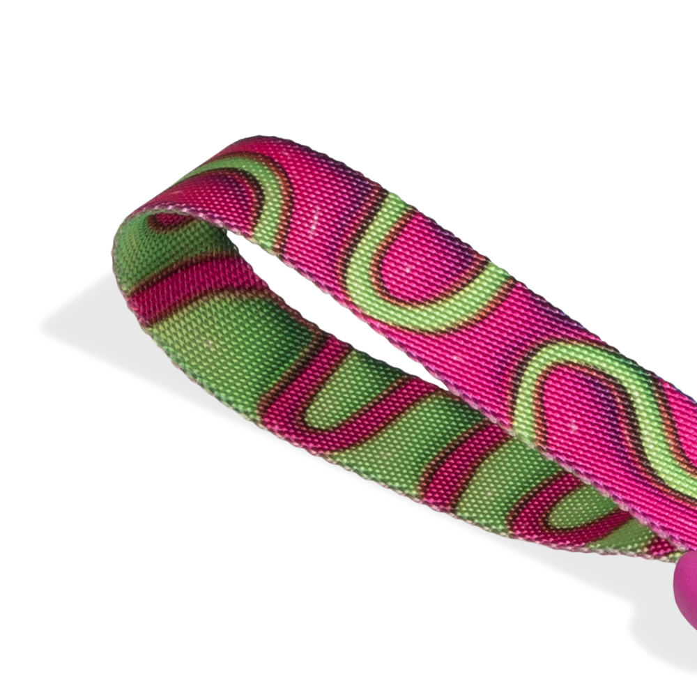 Guia para Cachorros H3D Jelly
