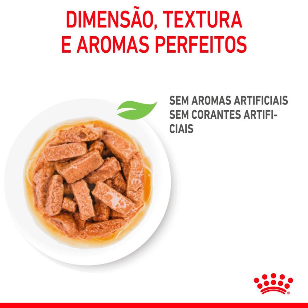 Ração Úmida Royal Canin Sachê Medium Puppy para Cães Filhotes de Porte Médio