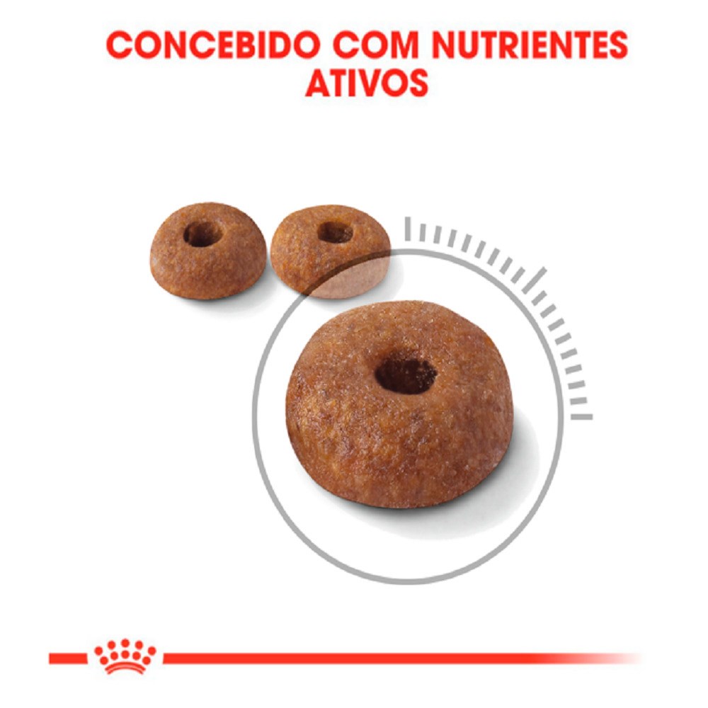 Ração Royal Canin Light para Gatos Adultos
