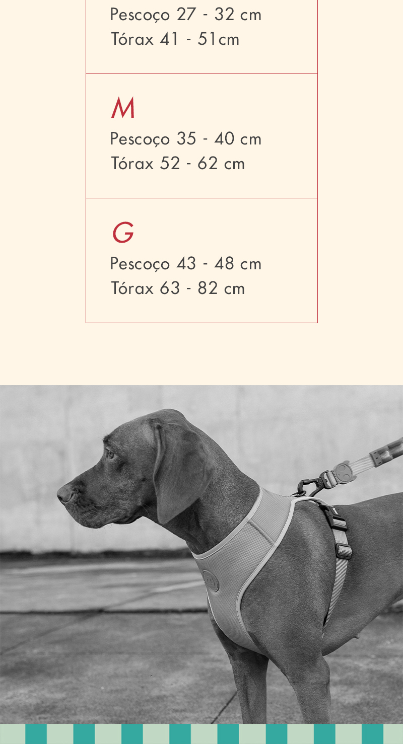 Peitoral para Cachorros Air Mesh Ajustável Yacht