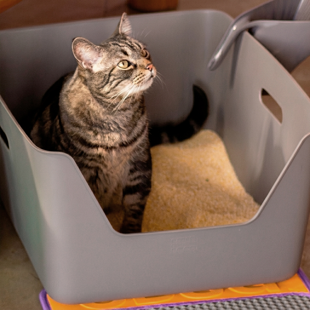 Areia Higiênica Biodegradável Cansei de Ser Gato Grãos Médios | Imagem 4