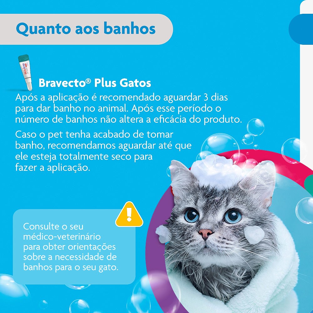 Antipulgas Bravecto Transdermal Plus para Gatos -  1 Pipeta de 112,5mg