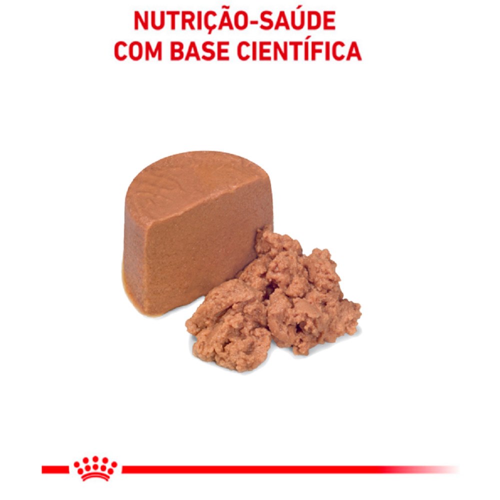 Ração Royal Canin Veterinary Diet  Recovery para Cães e Gatos