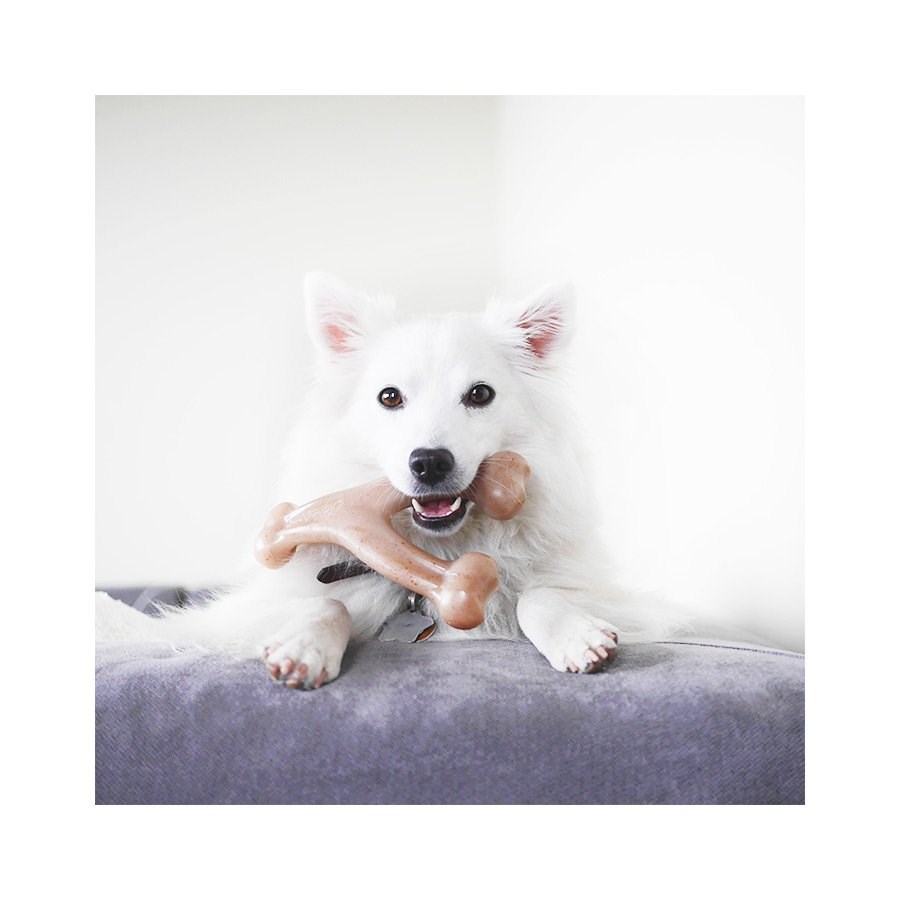 Brinquedo Benebone Wishbone Amendoim