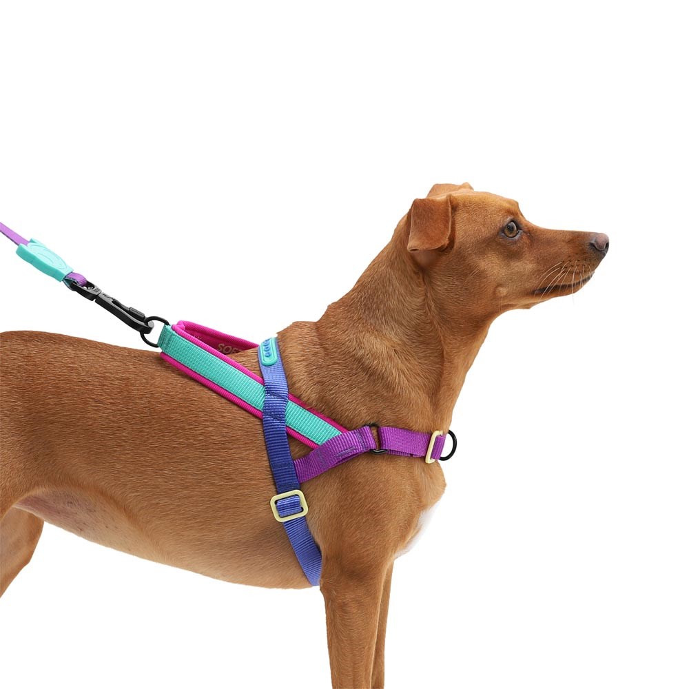 Peitoral Antipuxão SofterWalk para Cachorros Shockwave