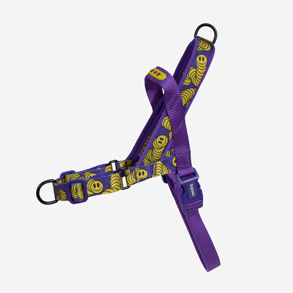 Peitoral para Cachorros Softerwalk Zmiley | Zee.Dog