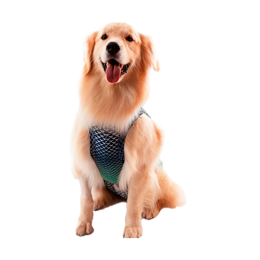 Roupa Cirúrgica Pet Med para Macho Ultra Light Castração Azul e Verde