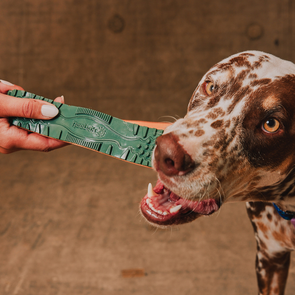 Brinquedo para Cachorros Reebok Trekk Twig | Imagem 3