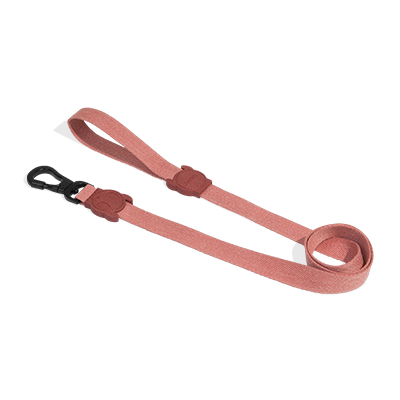 Guia para Cachorros Canyon Naturals G