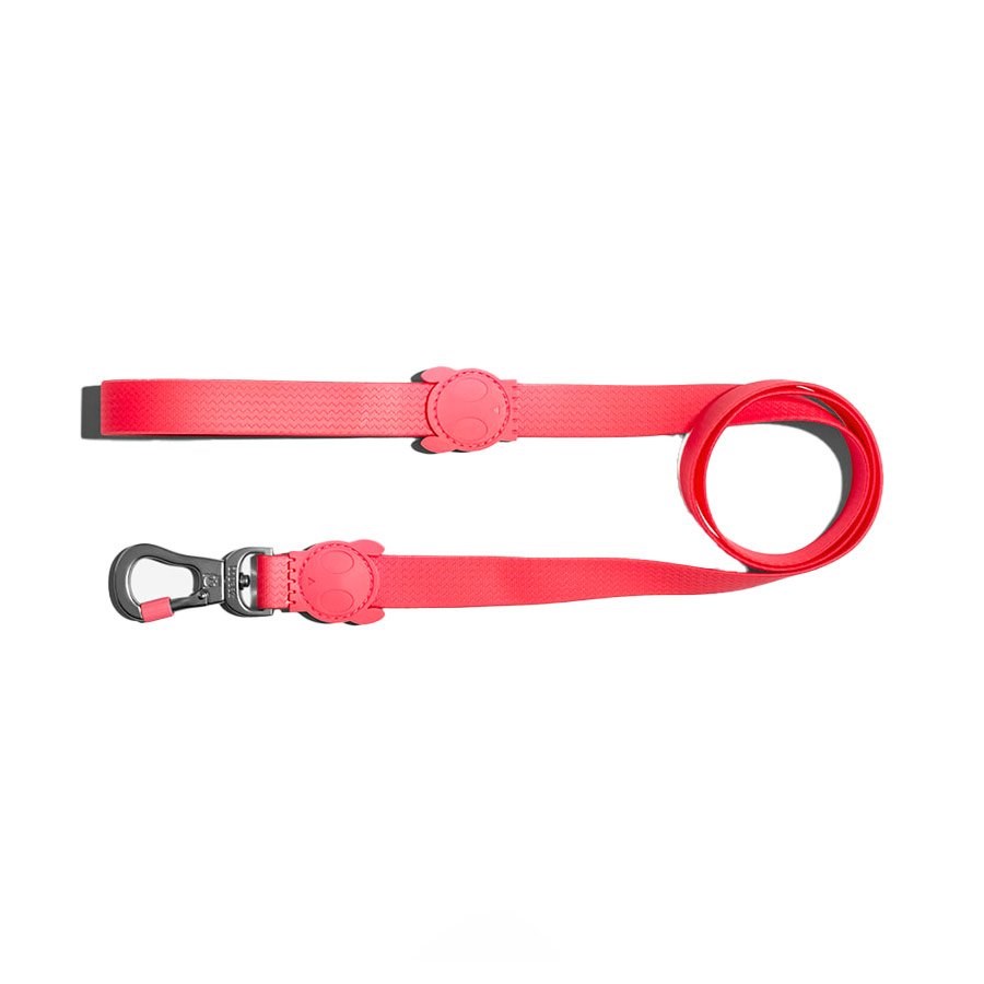 Guia para Cachorros Neopro Bubblegum