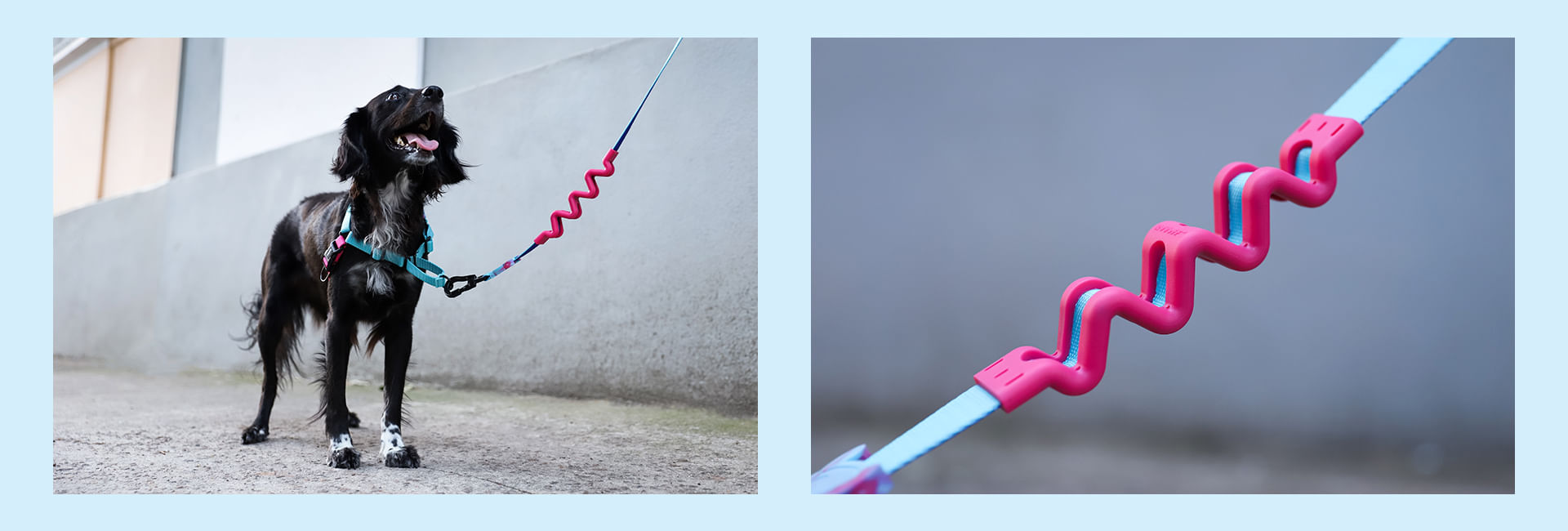 Guia com Amortecedor 2.0 para Cachorros Hydra | Lifestyle Images