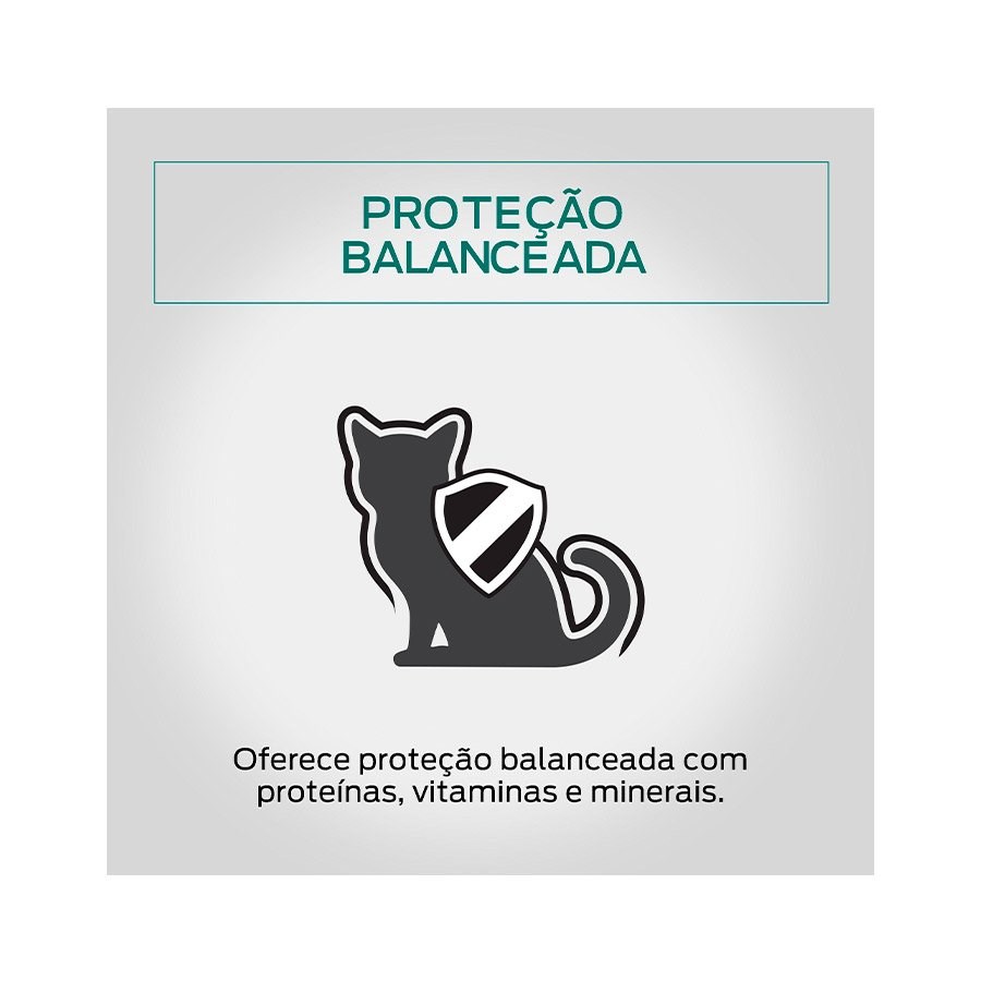 Ração Pro Plan Sachê Kitten para Gatos Filhotes sabor Frango ao Molho