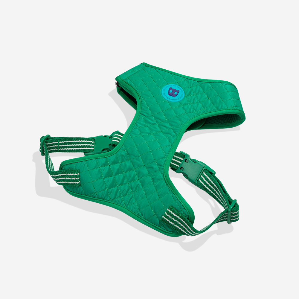 Peitoral para Cachorros Air Mesh Ajustável Velvet Vibes Vert | Imagem 5