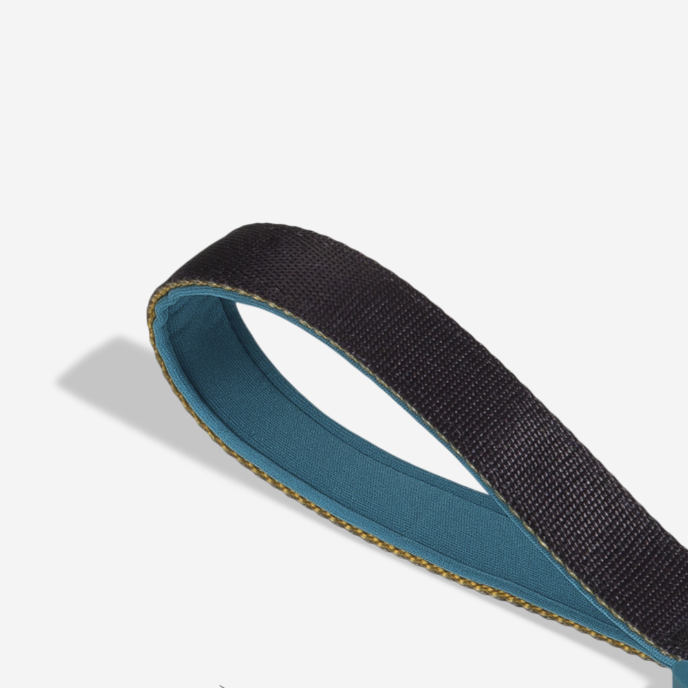 Guia com Amortecedor para Cachorros Valley | Imagem 1