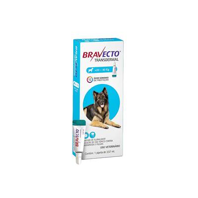 Antipulgas e Carrapatos Bravecto Transdermal para Cães de 20kg a 40kg - 1000mg 1 pipeta