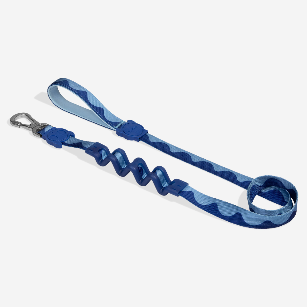 Guia com Amortecedor para Cachorros Swell | Imagem 0