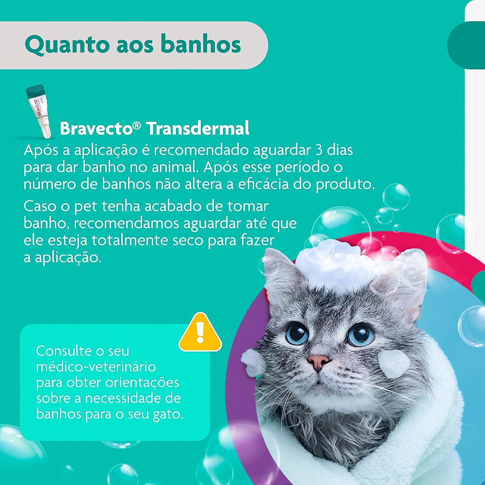 Antipulgas e Carrapatos Bravecto Transdermal para Gatos de 1,2kg a 2,8kg - 112,5mg
