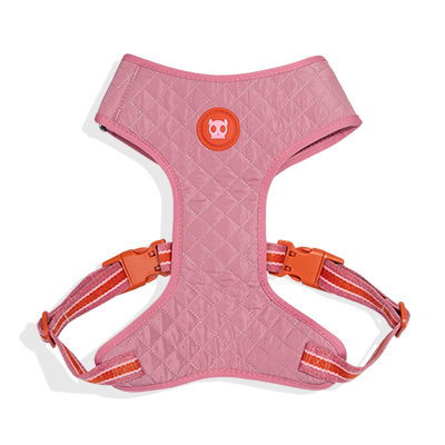 Peitoral para Cachorros Air Mesh Ajustável Velvet Vibes Courtney