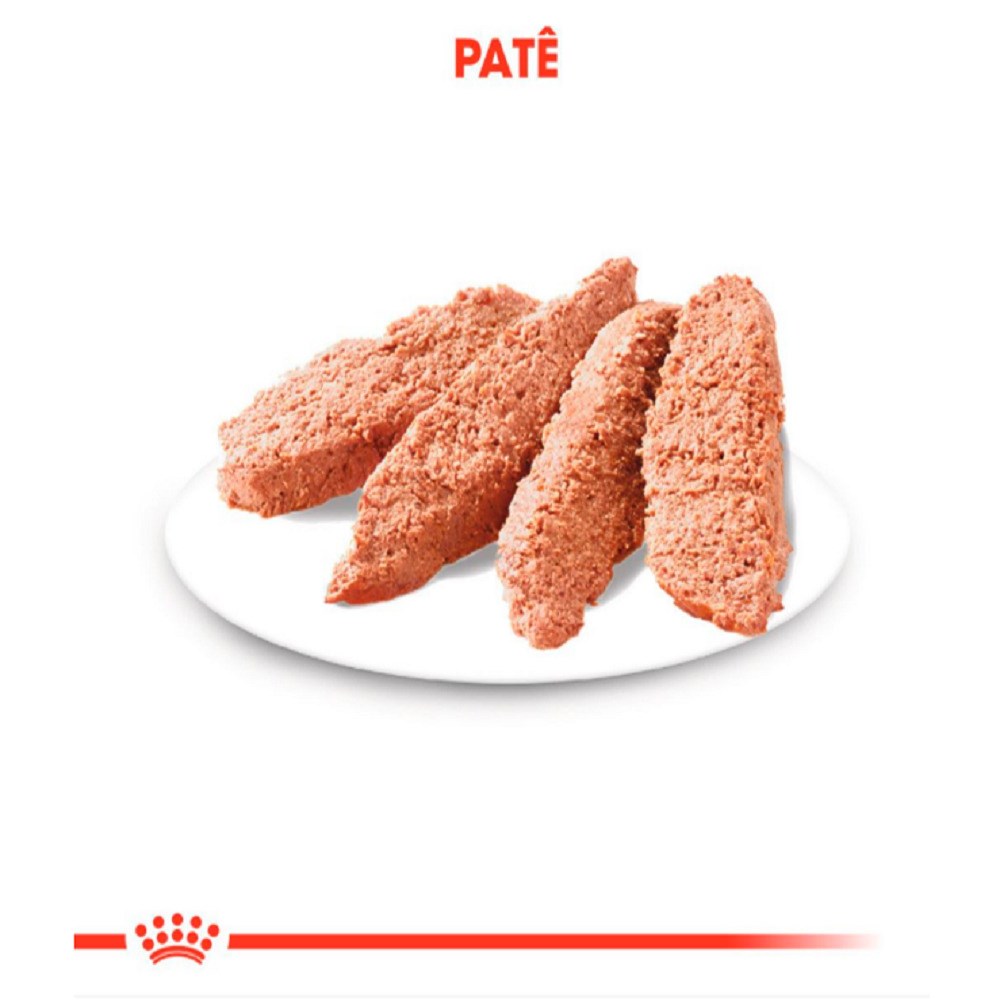 Ração Royal Canin Sachê Coat Beauty para Cães Adultos