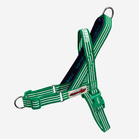 Peitoral Antipuxão SofterWalk para Cachorros Velvet Vibes Vert | Zee.Dog