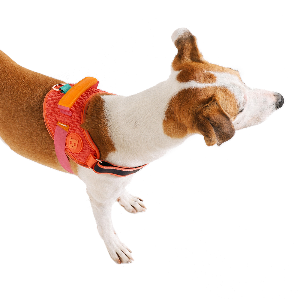 Peitoral para Cachorros FlyHarness Gazelle