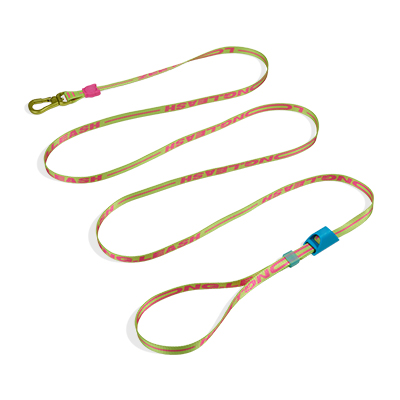 Guia Longa para Cachorros Cmyk