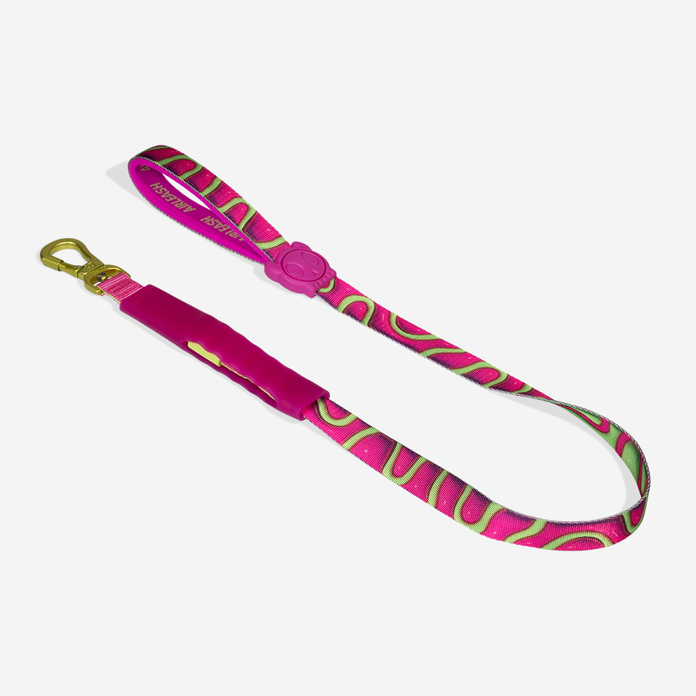 Guia para Cachorros Airleash H3D Jelly  | Imagem 4